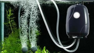 پمپ آکواریوم در وبزینر