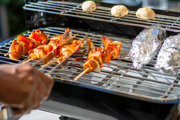 بهترین منقل مسافرتی وبزینر